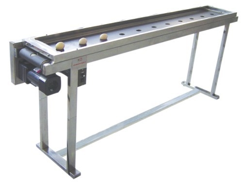 Conveyor de precisión de posicionamiento electrónico de fecha de huevo de acero inoxidable